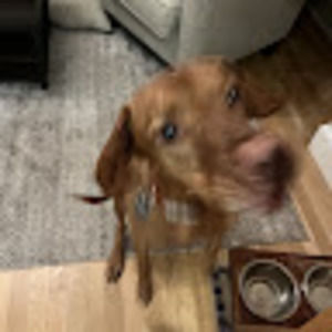 Meet your Posher, Rya